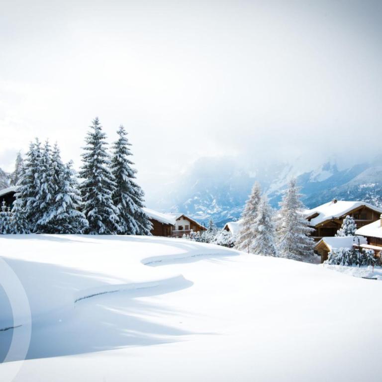 Richemont - A charming stay in the heart of the Alps - Appartement 2 Chambres - 21
