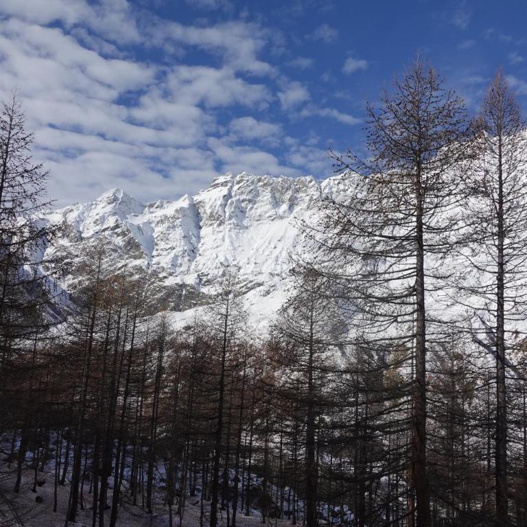 Cervinia Ski In Ski Out - Grande Ourse - Monolocale Familiare - 8
