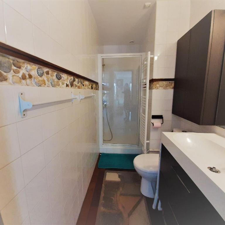 Appartement cosy, 4 pers, proche plages et centre, BBQ, parking, Wifi inclus - FR-1-239-943 - Appartement 1 Chambre - 6