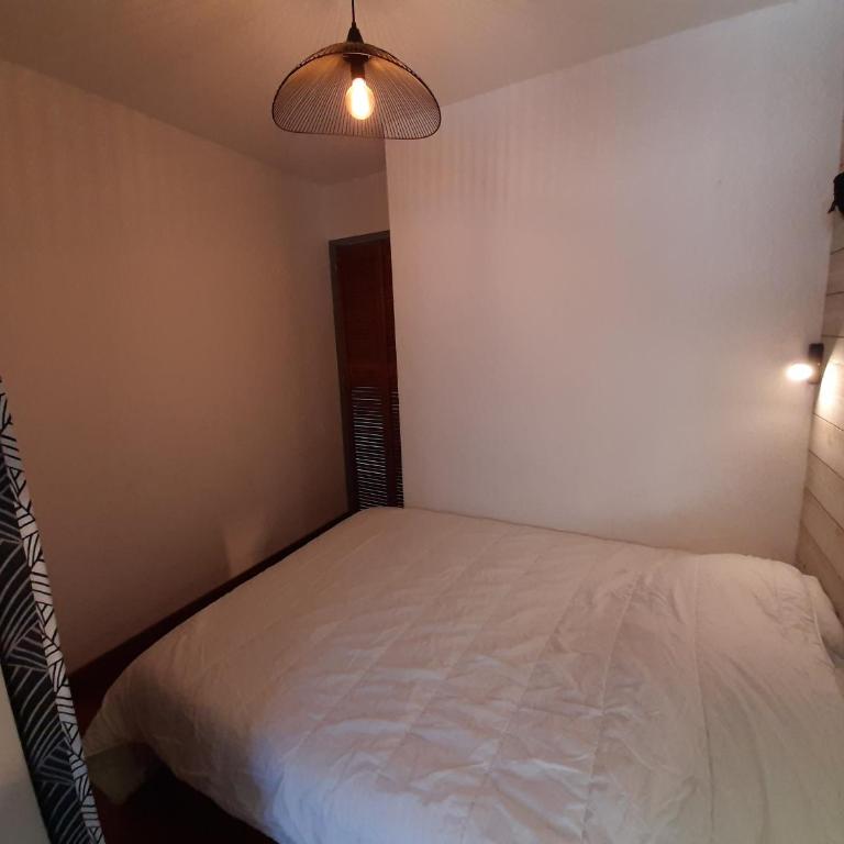 Appartement cosy, 4 pers, proche plages et centre, BBQ, parking, Wifi inclus - FR-1-239-943 - Appartement 1 Chambre - 9