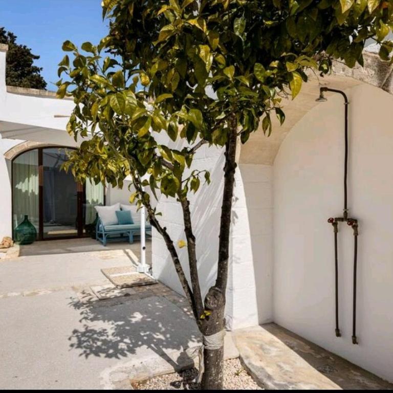 Trullo Zurlo - Casa con 2 Camere da Letto - 31