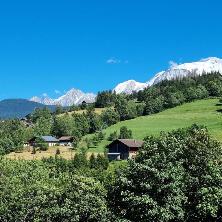 Appartement neuf avec vue Mont Blanc, parking et wifi à Combloux - Appartement 3 Chambres - 16