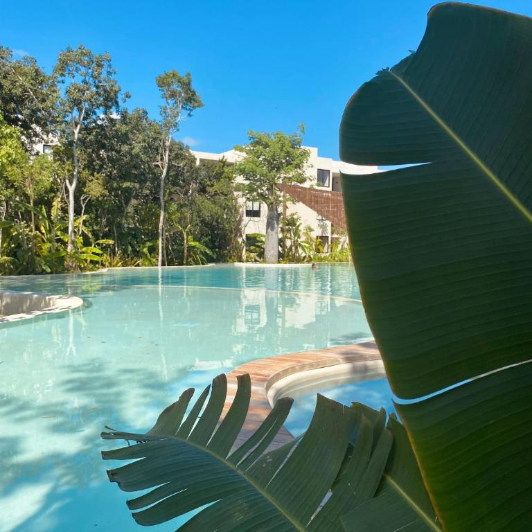 Luxurious Jungle Studio - Apartamento de 1 dormitorio - 7