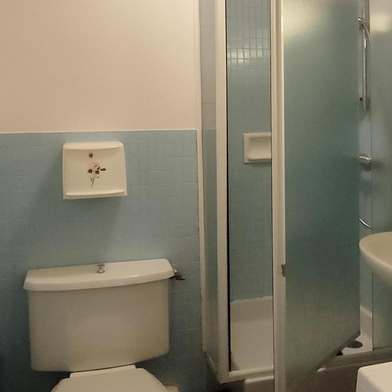 Centre village, près de l'espace aquatique - 2 pièces, 6 pers - FR-1-459-198 - Appartamento - 8