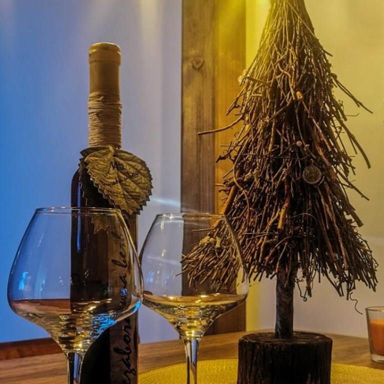 Zlatiborske Noći - Apartman sa Pogledom na Planinu - 11