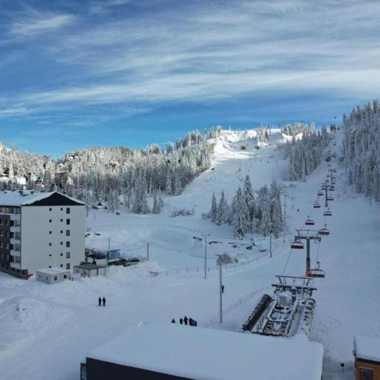 Ski INN apartment Jahorina - One-Bedroom Apartment - 26