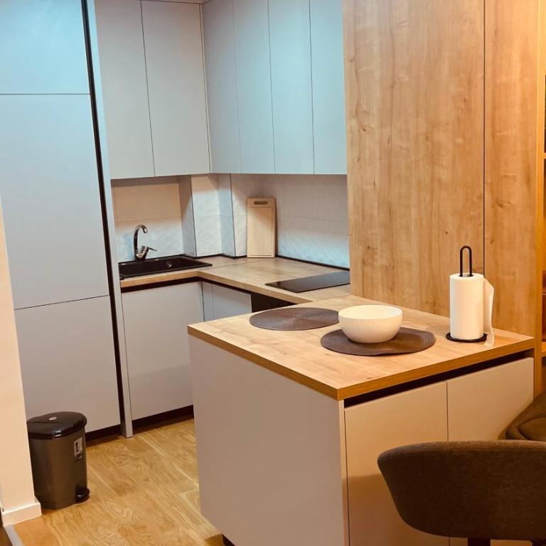 Ski INN apartment Jahorina - One-Bedroom Apartment - 8