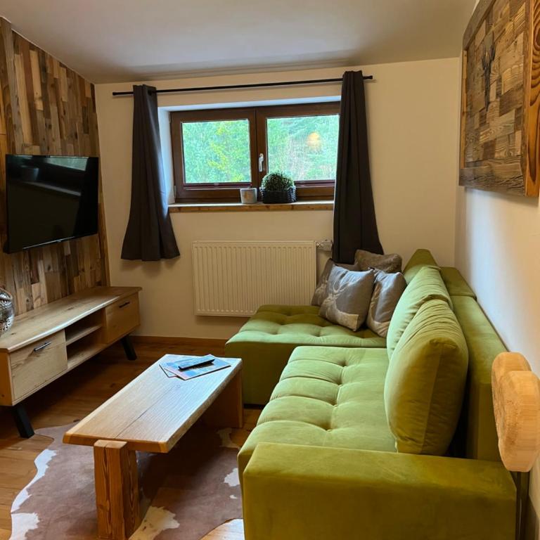Chalet Apart Hansler - Appartamento con 1 Camera da Letto - 23