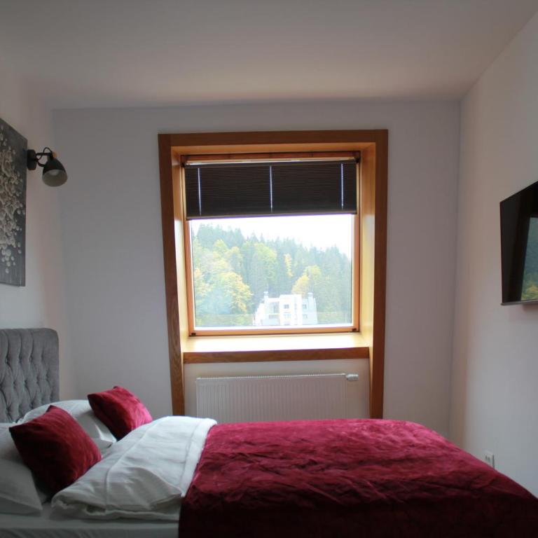 Ski Mont Apartment Jahorina - One-Bedroom Apartment - 3