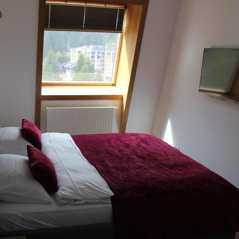 Ski Mont Apartment Jahorina - One-Bedroom Apartment - 20