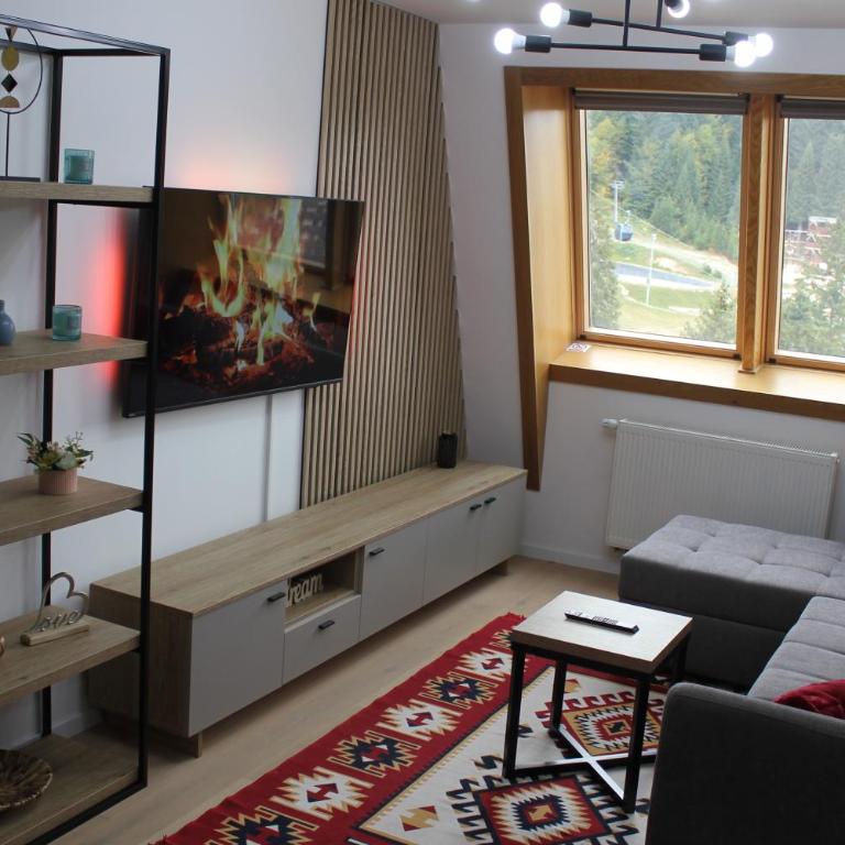 Ski Mont Apartment Jahorina - One-Bedroom Apartment - 30