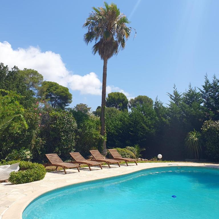 Bas de villa avec piscine Golfe-juan - Maison 1 Chambre - 2