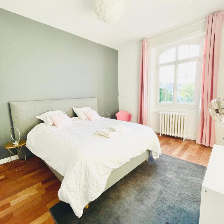 Reims CATHEDRALE JACUZZI LUXURIOUS PROPERTY - Appartement Deluxe - 19