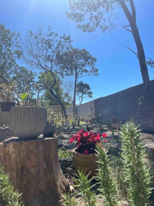 Jardín de Niza en Piriápolis - Pedimos 30 porciento anticipado - Casa de 2 dormitorios - 37