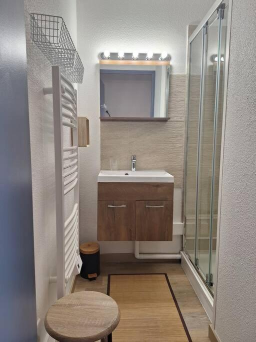 Studio rénové - Pied des pistes - Prapoutel - Les 7 laux - Appartement avec Vue sur la Montagne - 8