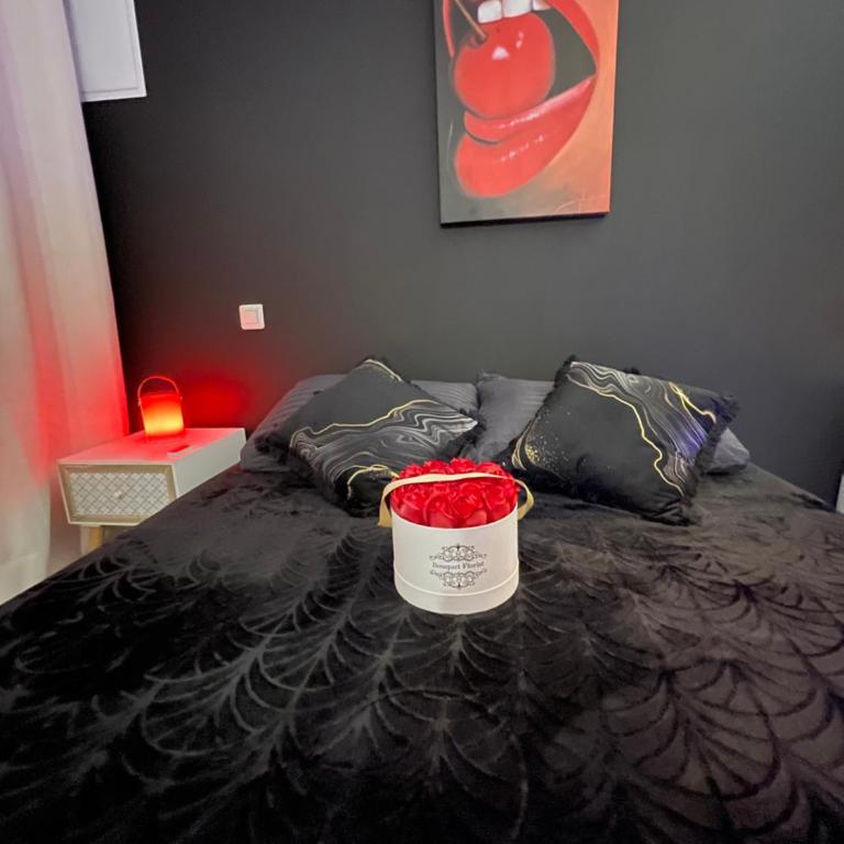 Studio M romantisme et élégance - Appartement 1 Chambre - 10