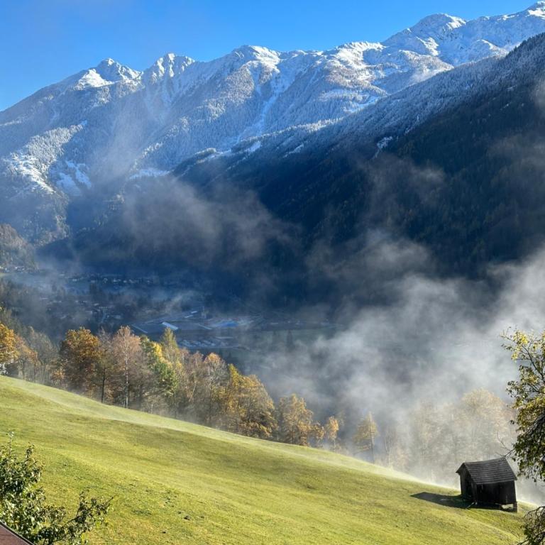 Pension Pichlerhof - Doppelzimmer mit Balkon - 22