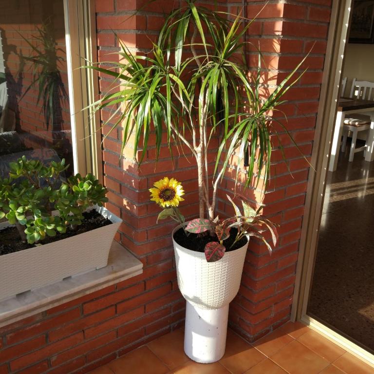 Great apartment Las Mimosas - Apartamento de 3 dormitorios - 14