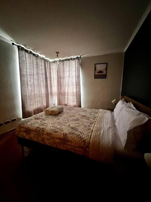 Providencia al máximo, con 2D/2B - Apartamento de 2 dormitorios - 31
