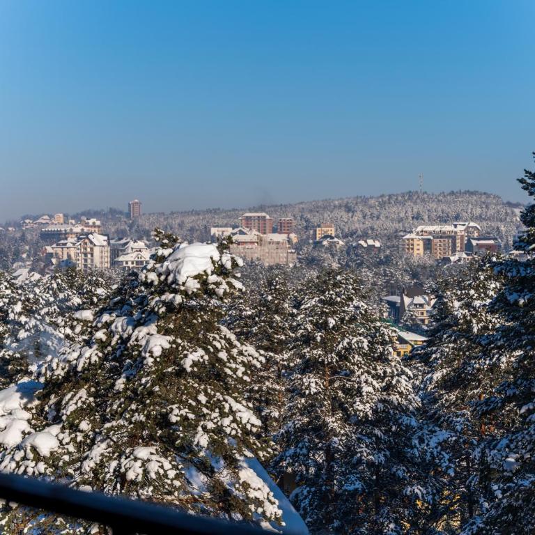 Mount Inn Ostojić - Apartman sa 1 Spavaćom Sobom - 22