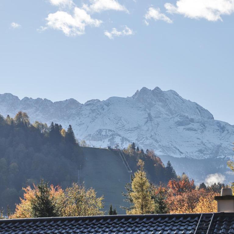 Dreitorspitzblick - Apartment mit Blick auf die Berge - 40