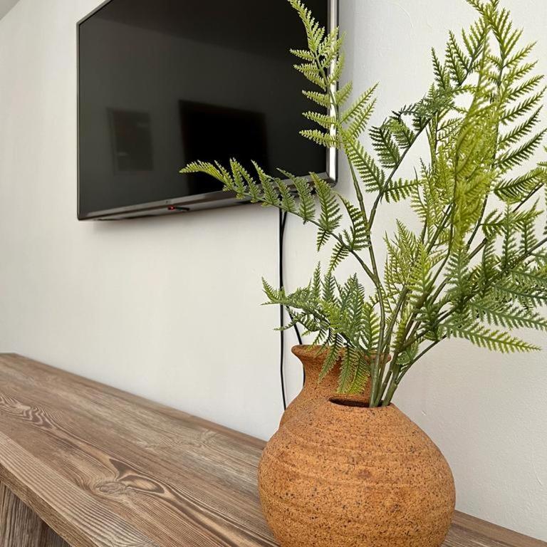 Apartamento en Centro - Vial - Casa - 15