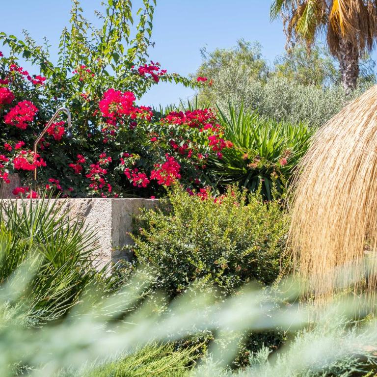 Villa Can Moleto By SunVillas Mallorca - Villa de 3 dormitorios - 15