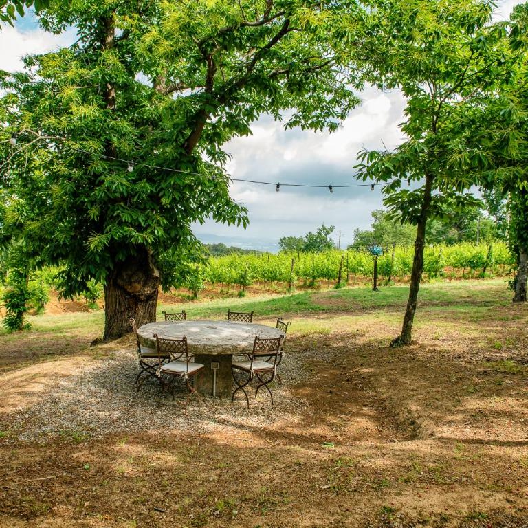 Villa Le Prata - Residenza del Vescovo - Villa - 13