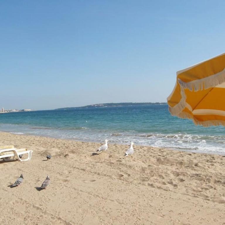 Beach House Cannes - Plages du Midi- 3 Ch - 3 Sdd - 2 wc - Fibre - Pkgs - Maison de Ville 3 Chambres - 90