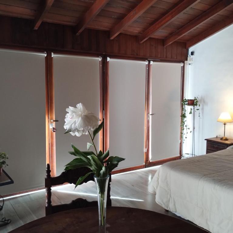 Cabaña Monoambiente de Descanso y Relax en Zona Barrio La Florida Pet Friendly - Casa con 1 dormitorio - 12