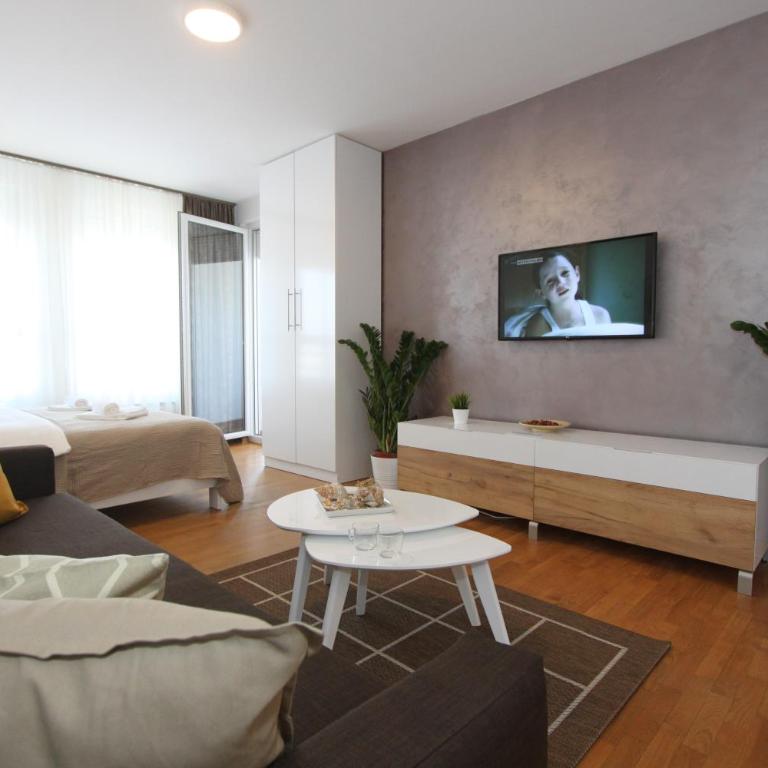Evergreen - studio in Belgrade to relax and enjoy, parking 5 eur per day - Studio apartman sa 1 bračnim krevetom - 10