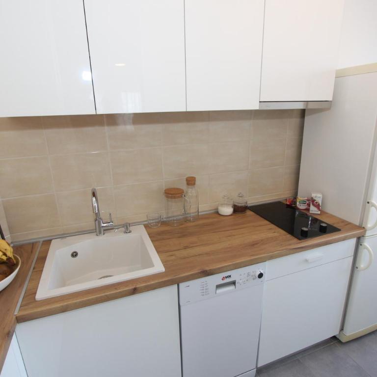 Evergreen - studio in Belgrade to relax and enjoy, parking 5 eur per day - Studio apartman sa 1 bračnim krevetom - 5