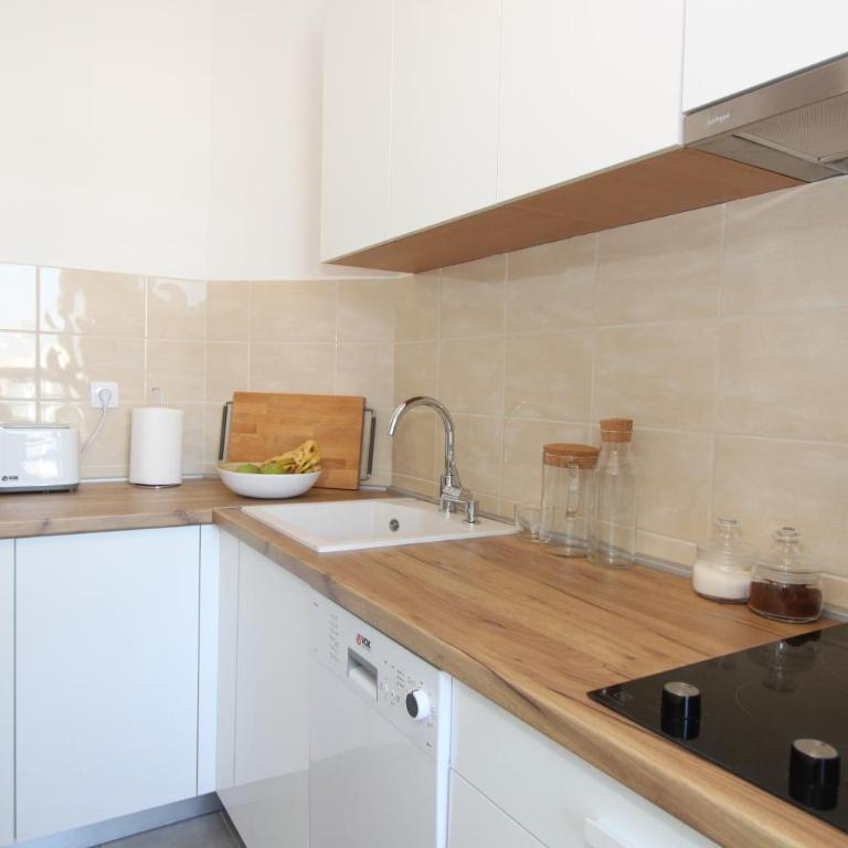 Evergreen - studio in Belgrade to relax and enjoy, parking 5 eur per day - Studio apartman sa 1 bračnim krevetom - 22