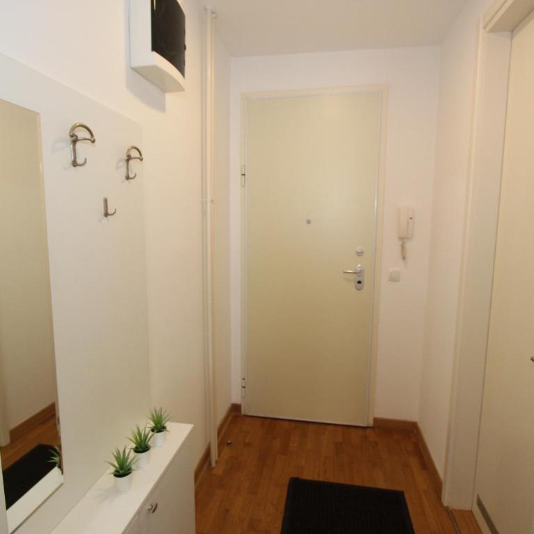 Evergreen - studio in Belgrade to relax and enjoy, parking 5 eur per day - Studio apartman sa 1 bračnim krevetom - 26