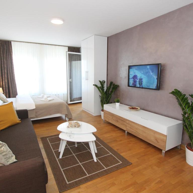 Evergreen - studio in Belgrade to relax and enjoy, parking 5 eur per day - Studio apartman sa 1 bračnim krevetom - 1