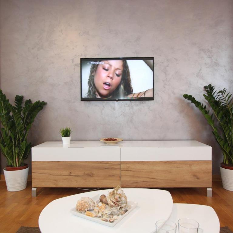 Evergreen - studio in Belgrade to relax and enjoy, parking 5 eur per day - Studio apartman sa 1 bračnim krevetom - 29