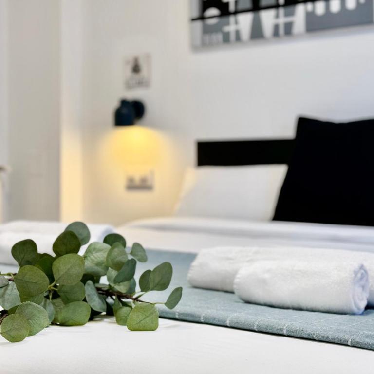 Charming Madrid Principe Pio - Two-Bedroom Apartment - 16