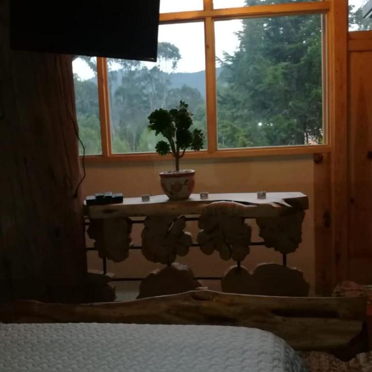 Cabaña en el Árbol La Calera - Habitación Doble con vistas al parque - 61