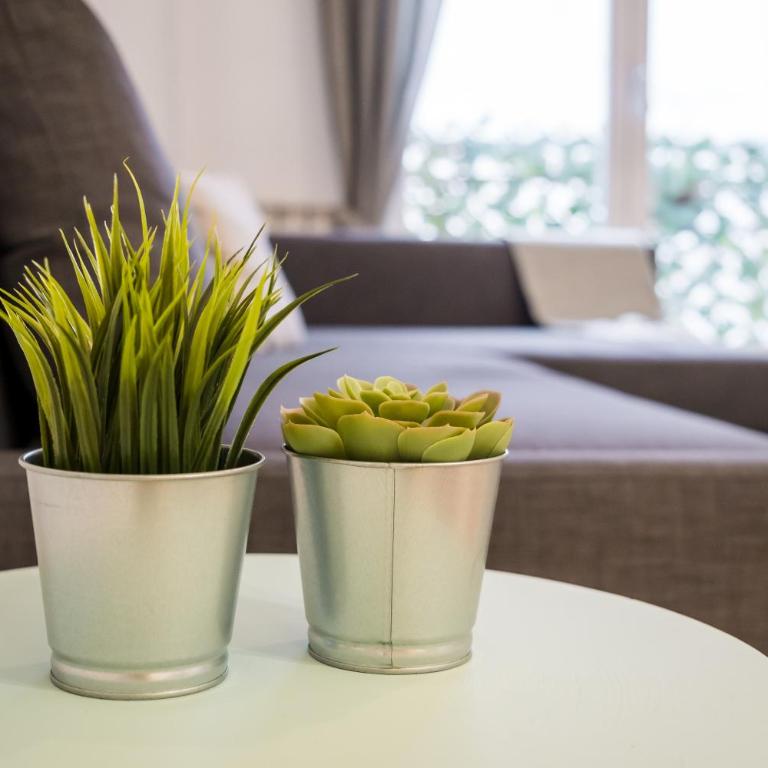 Cozy and central- 1 bedroom 1 bathroom - Chueca - One-Bedroom Apartment - 29