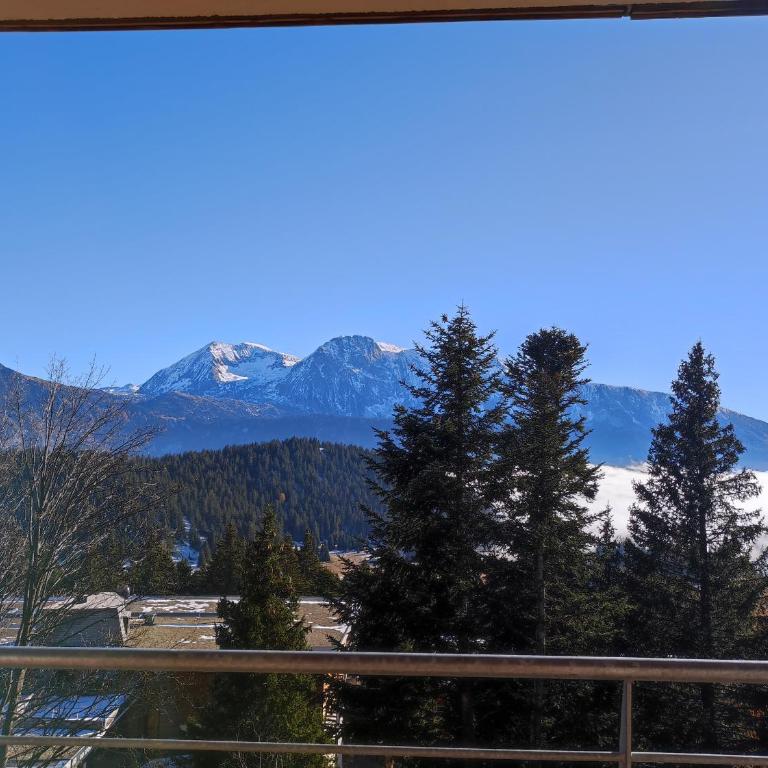 Chamrousse 1700 - Les Domaines de LArselle - Arolles D21 - Classé 3 étoiles - Appartement 2 Chambres - 10