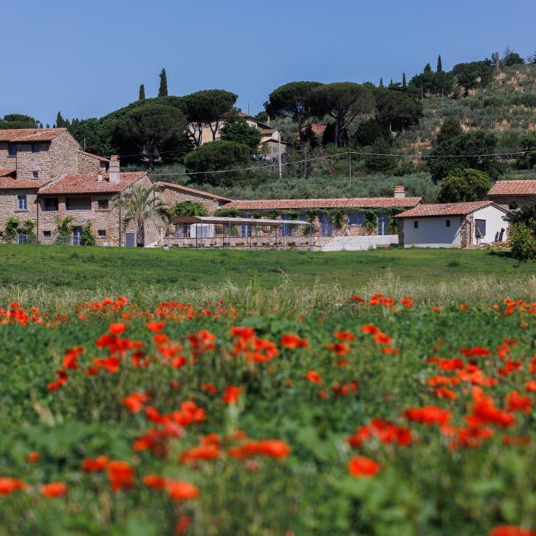 Nello's, Villa di pregio con SPA - Villa - 53