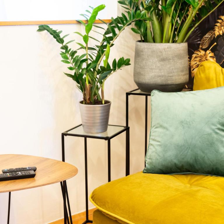 Modernes Appartement - Apartamento de 1 dormitorio - 5