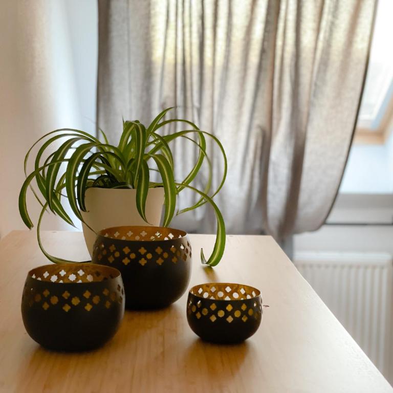 Ferienwohnung Hintermoos - Apartment mit 3 Schlafzimmern - 20