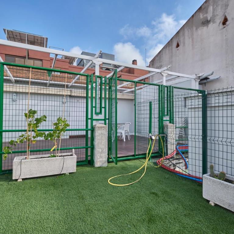 Apartamentos Carlos - Apartment with Terrace - 36
