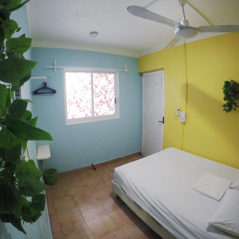 Tres Mundos Hostel - Double Room with Shared Bathroom - 4