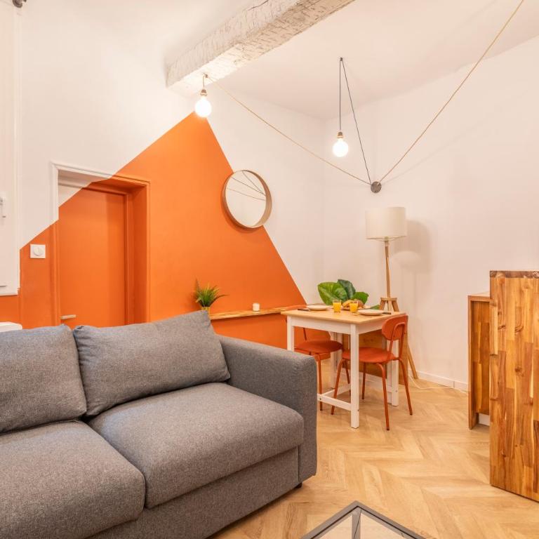 Charmant T2 centre - One-Bedroom Apartment - 13