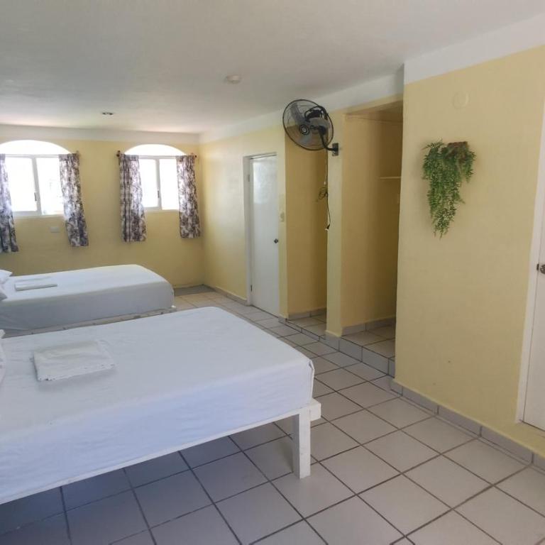 Tres Mundos Hostel - Quadruple Room with Private Bathroom - 4