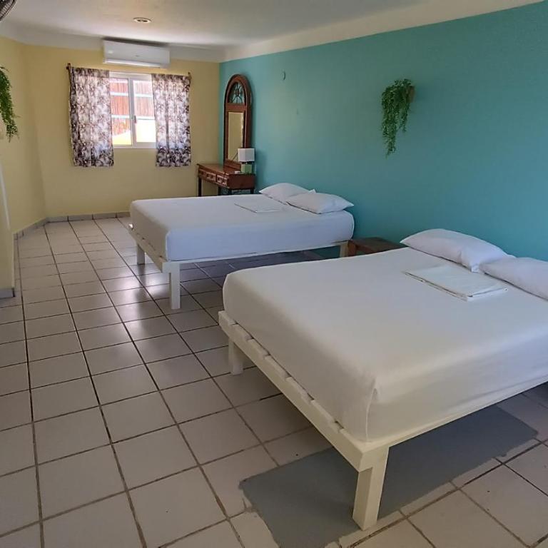 Tres Mundos Hostel - Quadruple Room with Private Bathroom - 6