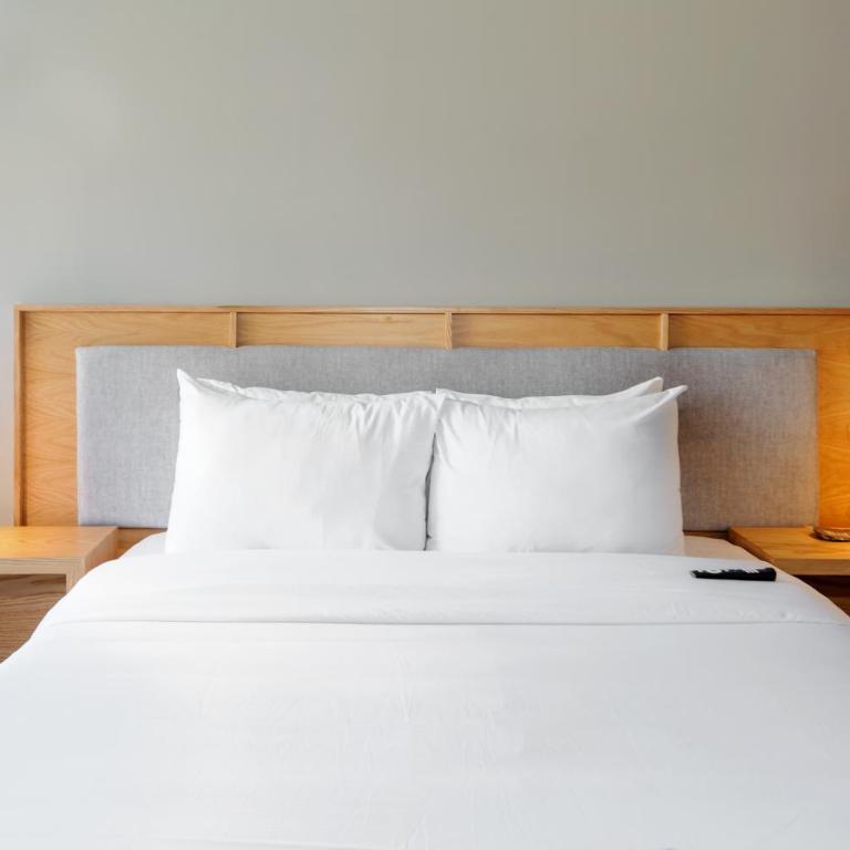 Darwin 74 by Wynwood House - Well-designed 2BR near Polanco - 4
