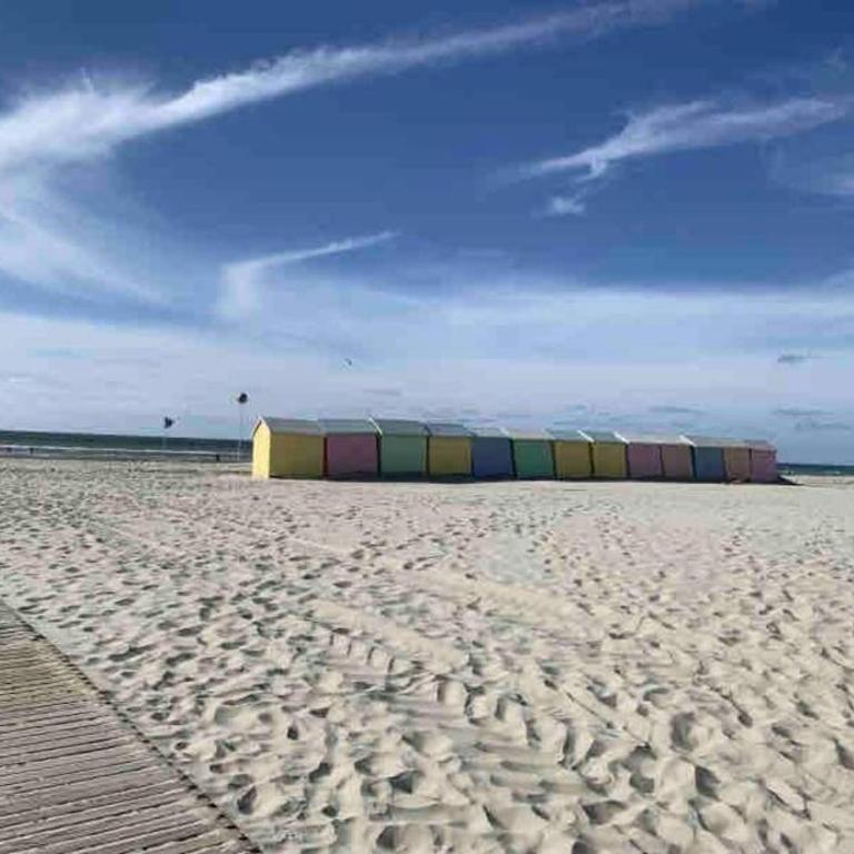 ALEX - Appartement 2-4 pers au calme avec Balcon à 100m de la plage de Berck - One-Bedroom Apartment - 15